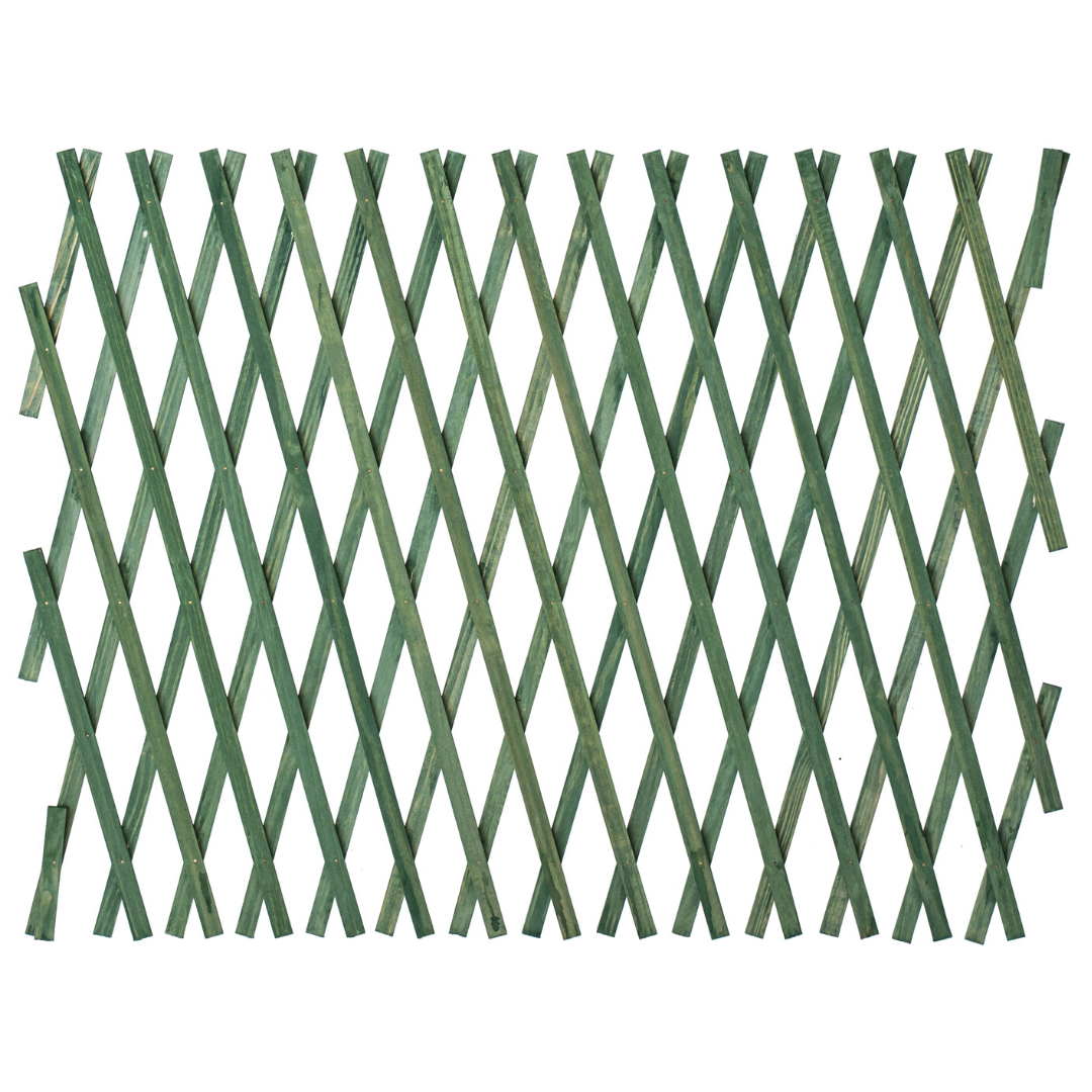 Expanding Trellis Green 900mm Shop Today. Get it Tomorrow!