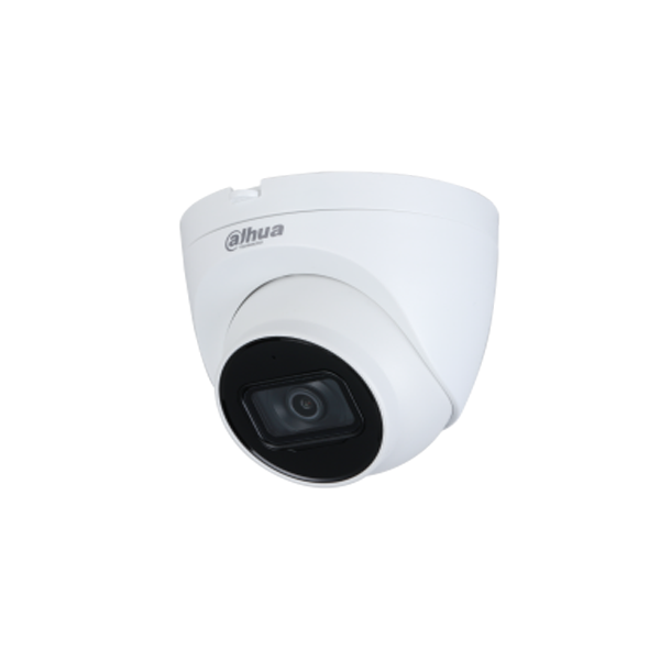 Dahua 2MP IR Eyeball Network Camera