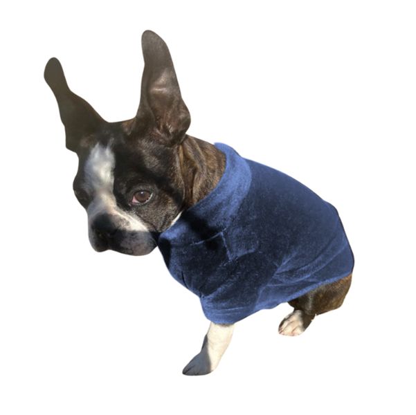 Dog Jersey - 2 Pack - Mongolian Fleece - Denim Blue