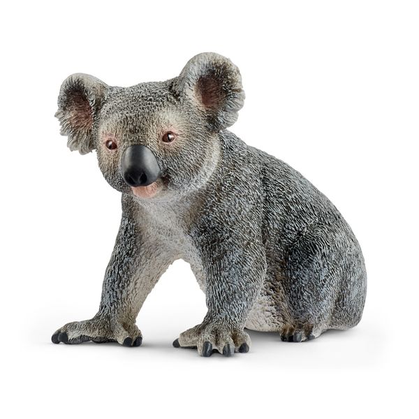 Schleich Wild Life - Koala bear (4cm Tall)