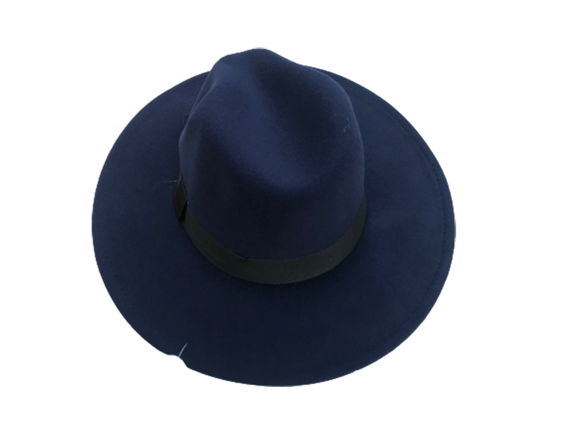 Wide Brim Panama Fedora Hat