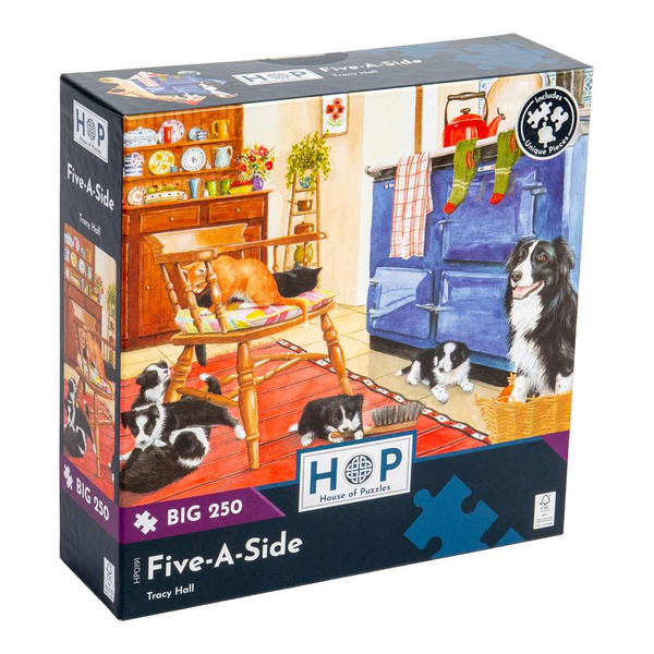 House of Puzzles - Five-A-Side - XL Pieces - 250 Piece Jigsaw Puzzle