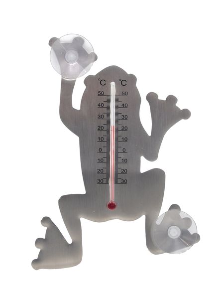Silver Frog Thermometer