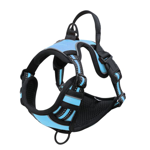 Dog Harness