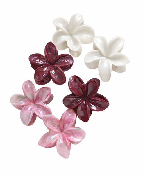 6 Colour Gradient Freesia Hair Clips - Mini Hair Clips for Styling