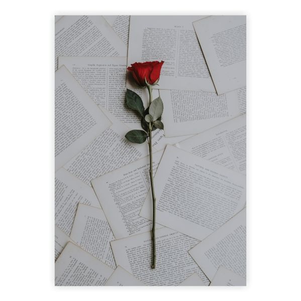 Single Rose On Newspaper - A1 Poster