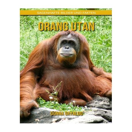 Orang Utan Sagenhafte Bilder Und Fakten Buy Online In South Africa Takealot Com