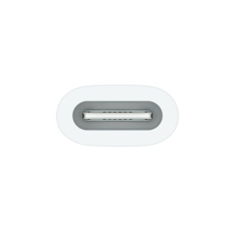 Apple USB-C to Apple Pencil Adapter | Shop Today. Get it Tomorrow