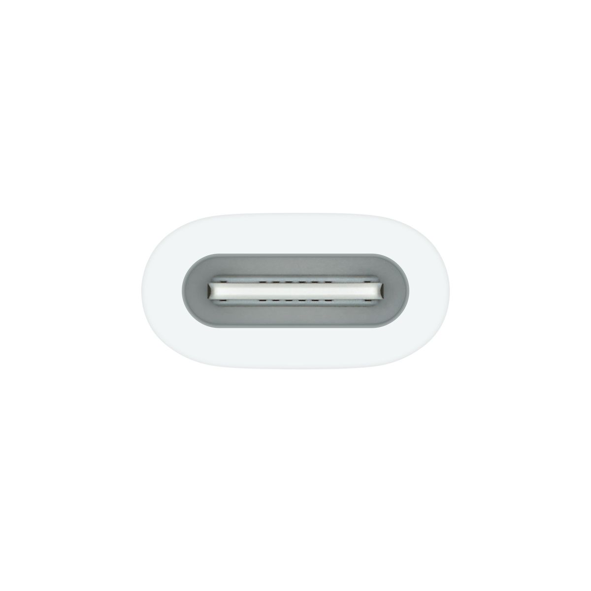 Apple USB-C to Apple Pencil Adapter | Shop Today. Get it Tomorrow