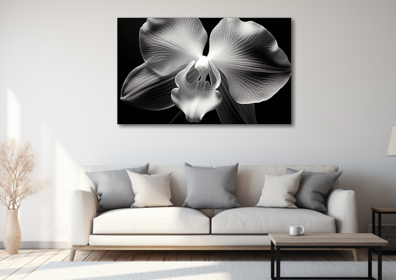 Canvas Wall Art - Orchid Creative Art - HD0315