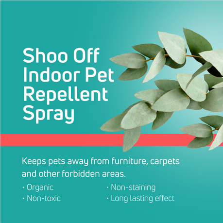 Best dog repellent hotsell spray for furniture