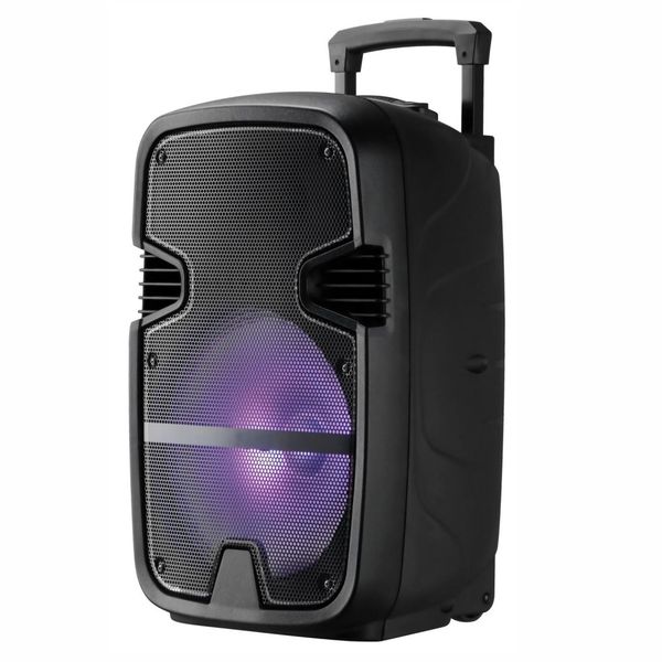 8-inch Loudspeaker CH-7208A