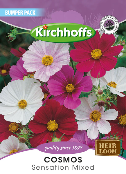 Kirchhoffs Cosmos Sensation Mixed Bumper Packet