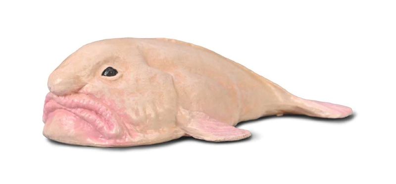 Collecta Sea Life SML Blobfish