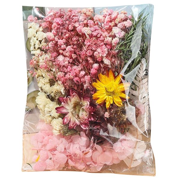 Pink Mixed Dried and Preserved Flower Pack for Resin and Crafts - 14cm pack