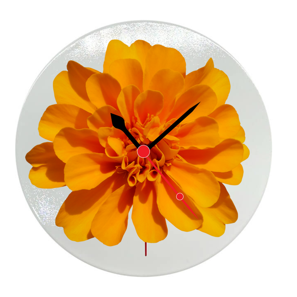 Marigold image