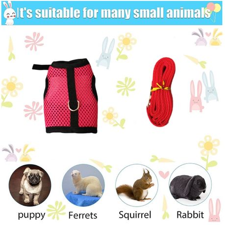 Pet rabbit harness hotsell