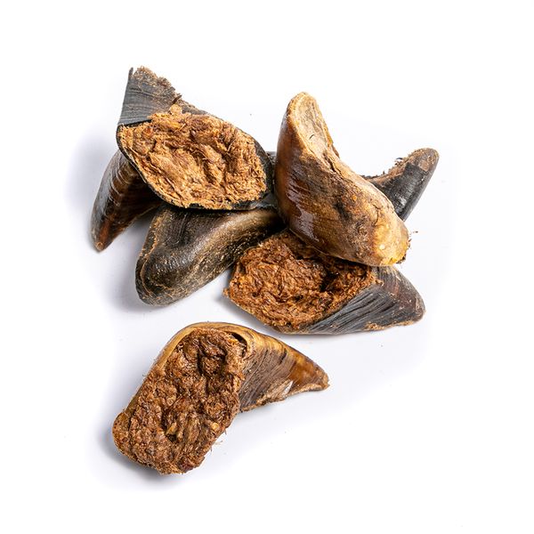 Filled Chicken Hooves Small Bucket x30