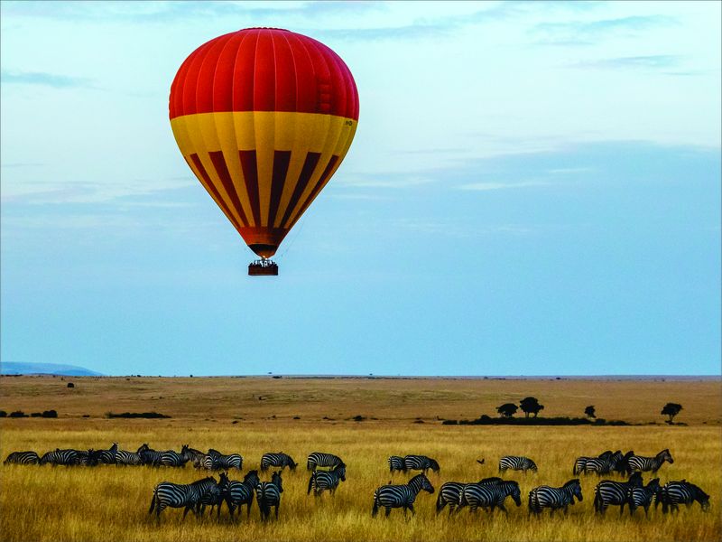 Laptop Skin - Sticker - Zebras &amp; Hot Air Balloon