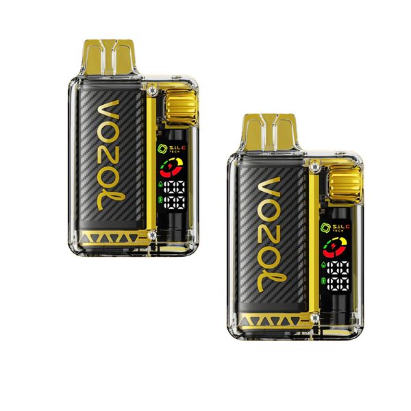 Vozol vista 20000 puffs mango ice 2 pack