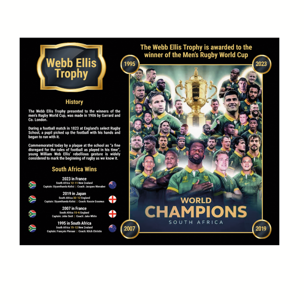 Springbok Webb Ellis Trophy - 5mm Paper Board 30cm x 25cm