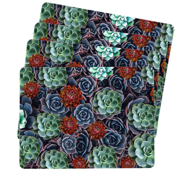 Sensational Succulents Placemats