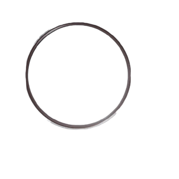 LED Ceiling Light Ruyi