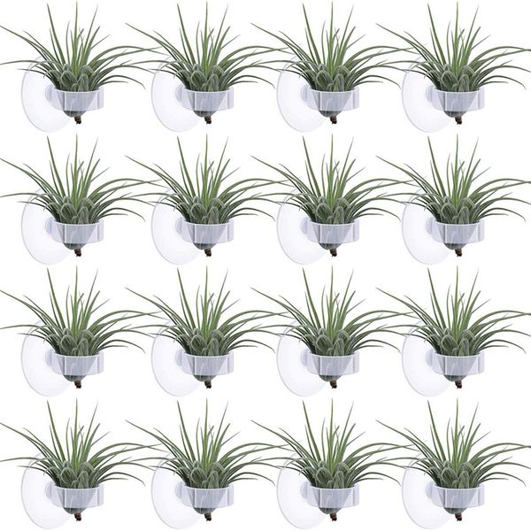 36 Pcs Plant Stand With Suction Cup For Plants(Plants Not Included)