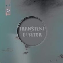 TV1 (Vinyl / 12" Album Coloured Vinyl)
