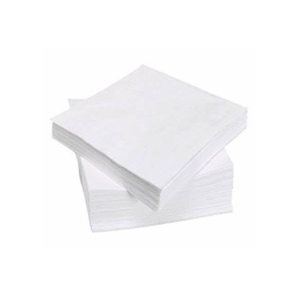 Disposable Serviettes - Sugarcane Biodegradable - 2 Ply - 100 Piece