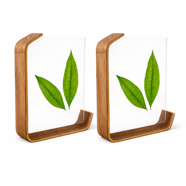 2 Pack - Nordic Bentwood Floating Photo Frame