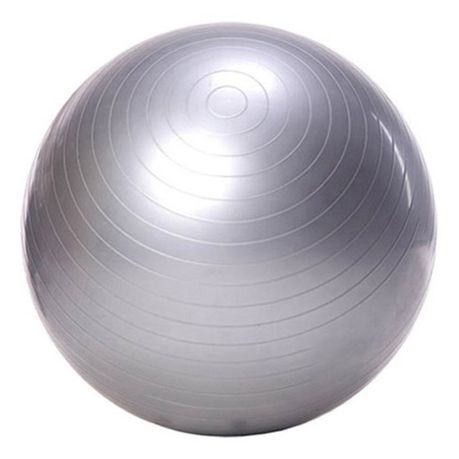 Yoga Pilates Gym Exercise Balance Ball with Pump Silver 65cm