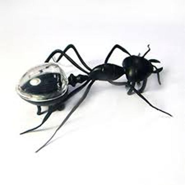 Solar Powered Ant