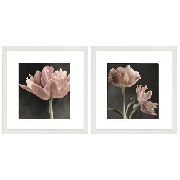 Furnicare Framed Print - Pink Tulips - Set of 2