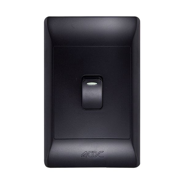 ACDC - 1-lever 1-way Switch 2x4 C/w Black Cover Plate