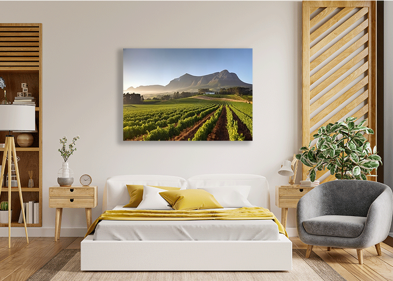 Canvas Wall Art - Vineyard Tour in Cape Town