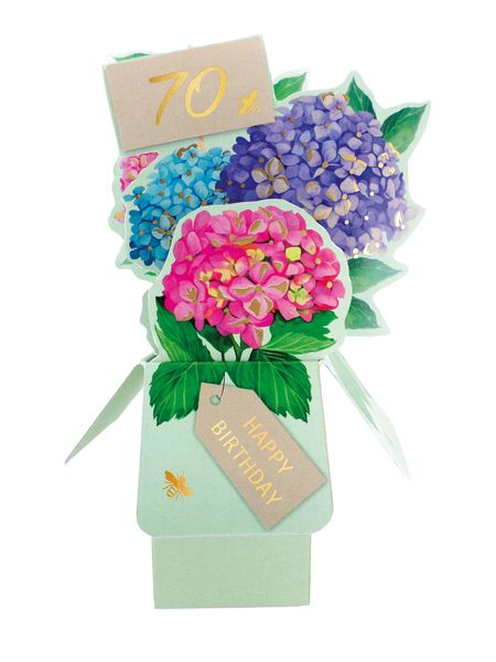 Clever Cubes 3D Pop-up card - 70th Fem Birthday