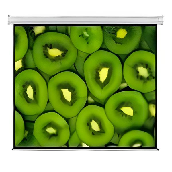 Esquire Electric Projector Screen - 300 x 169cm