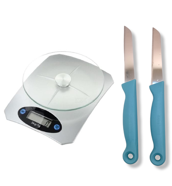 Xclusiv Digital Kitchen Scale With 2 Teal Paring Knives