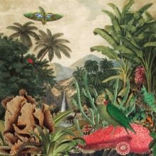 Imaginary Island Music (Vinyl / 12" Album)