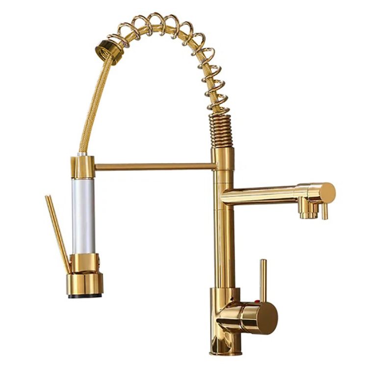 LMA Dual-Tap Spring Neck Pullout Kitchen Mixer with Squeeze Trigger