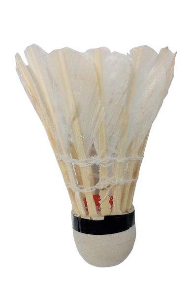 Fury Oulite Shuttlecock - 12-Pack