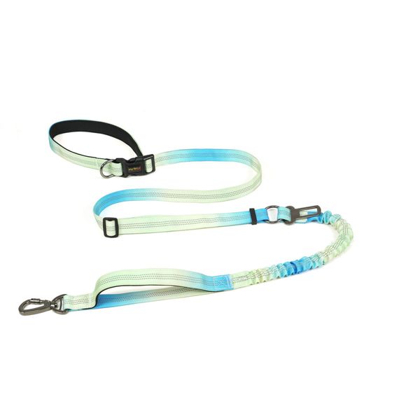 Dog Leash - Green 150cmx2.5cm