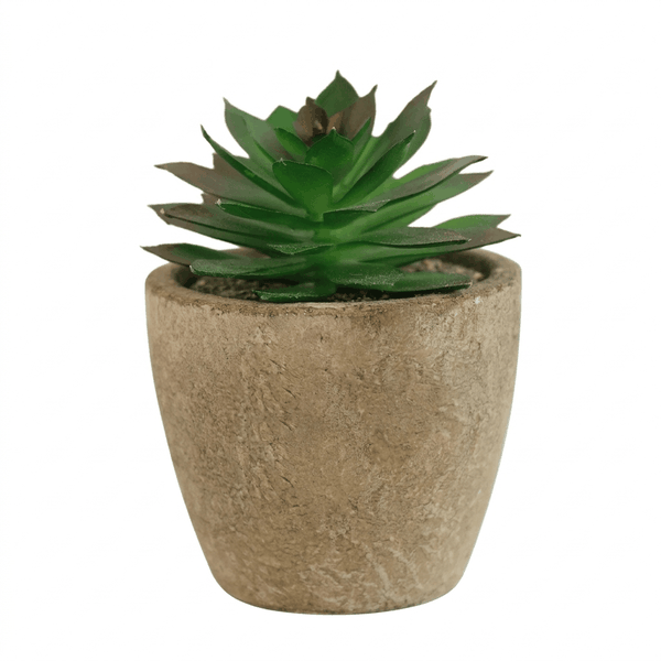Plastic Artificial Succulent Potted Plant - Green And Beige