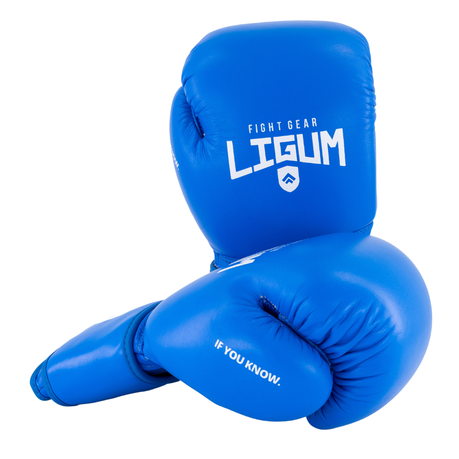 Cheap blue boxing gloves - Blue boxing gloves at the best price