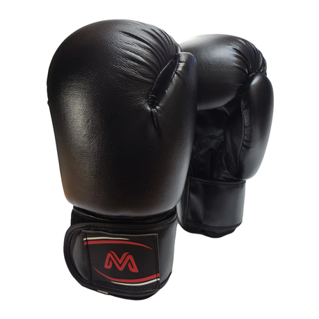 boxing gloves takealot