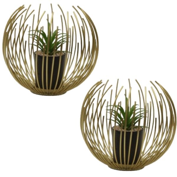 Geo Duo Plant Holder Set