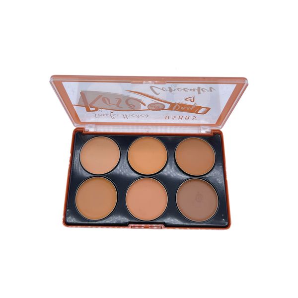 Ushas Rose Make Up Concealer Palette 6 Colour