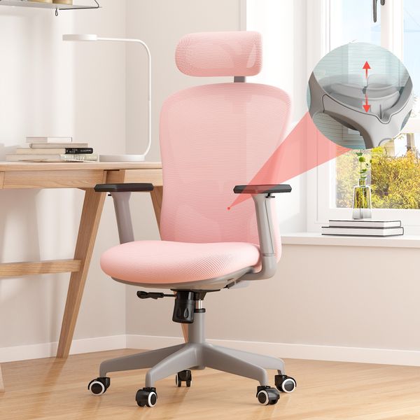Ergonomic mesh Chair with Adjustable Lumbar, 3D Armrest and Headrest