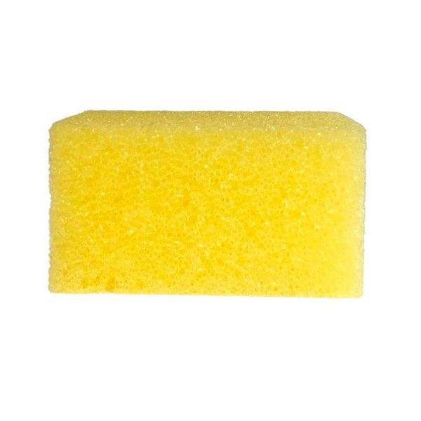 Body Exfoliating Sponge
